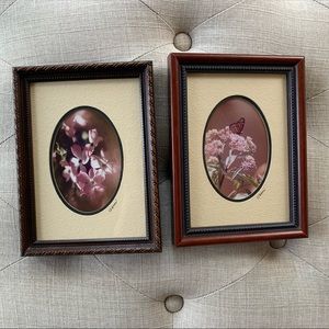 Vintage butterfly & flower pictures